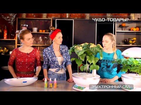 Чудо-товары: электронный сад и чистка «сухим» льдом