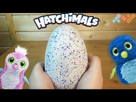 Hatchimals - Хетчималс Пингвинчик - интерактивный питомец, вылупляющийся из яйца - Полный обзор