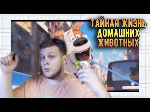 Тайная Жизнь Домашних Животных - Без Спойлеров