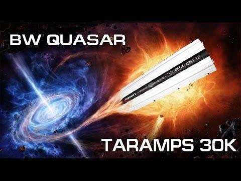 Тест моноблоков Taramps T-30.0KW и Bass Warrior Quasar