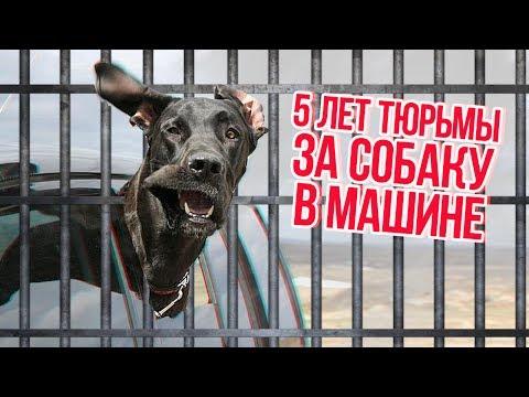 ТОП 5 ОЧЕНЬ ТУПЫХ ПРАВИЛ ПДД !!!