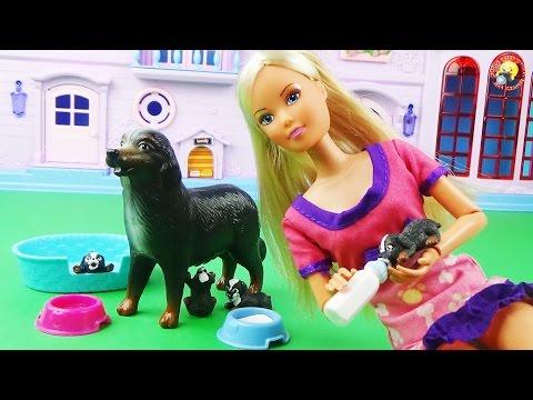 Кукла Штеффи и ее верная собака с щенками Игровой набор / Doll, Dogs, Puppies