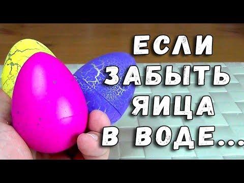 ОНИ УТОНУЛИ - ЯИЦА СЮРПРИЗ ФИКСПРАЙС С ИГРУШКОЙ