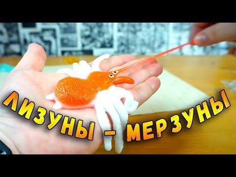 ЛИЗУНЫ МЕРЗКИЕ НО КЛАССНЫЕ - СЛИЗЕНЬ, ПАУК, ЯЩЕРИЦА, СОРОКОНОЖКА